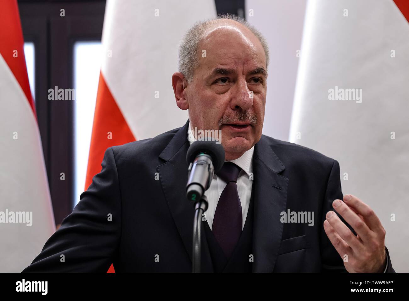 President of Hungary Tamás Sulyok gives a statement during a bilateral