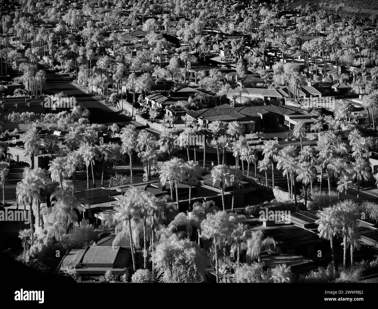 Quirky black and white photograph of a mid century modern neighbourhood