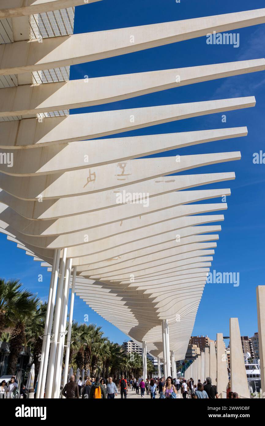 Moderna arquitectura  junto al Palmeral de las Sorpresas, paseo marítimo lleno de jardines, parques y rincones para el relax. Málaga, España Stock Photo
