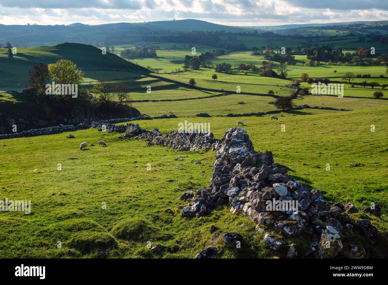 Typical White Peak landscape - view of the Dove Valley with Ecton Hill in the distance from Reynards Lane, Hartington, Peak District, Derbyshire Stock Photo