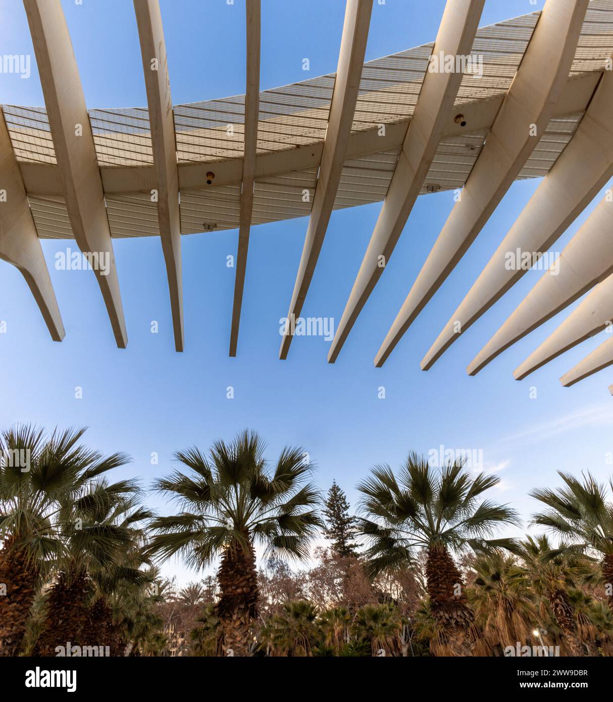 Moderna arquitectura junto al Palmeral de las Sorpresas, paseo marítimo lleno de jardines, parques y rincones para el relax.Málaga, España Stock Photo