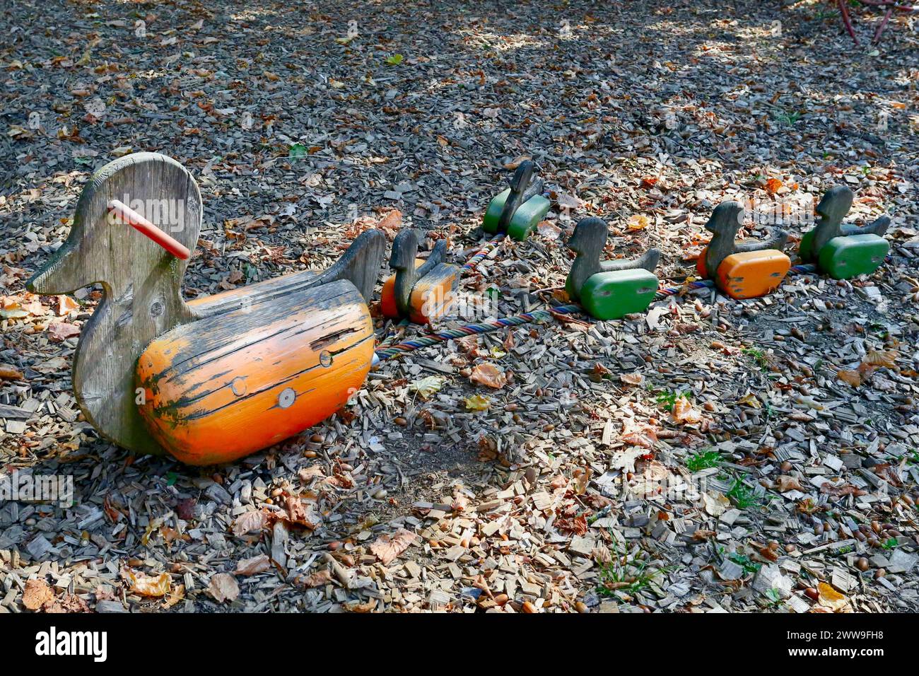 Five little ducks, Piber, Styria, Austria. Stock Photo