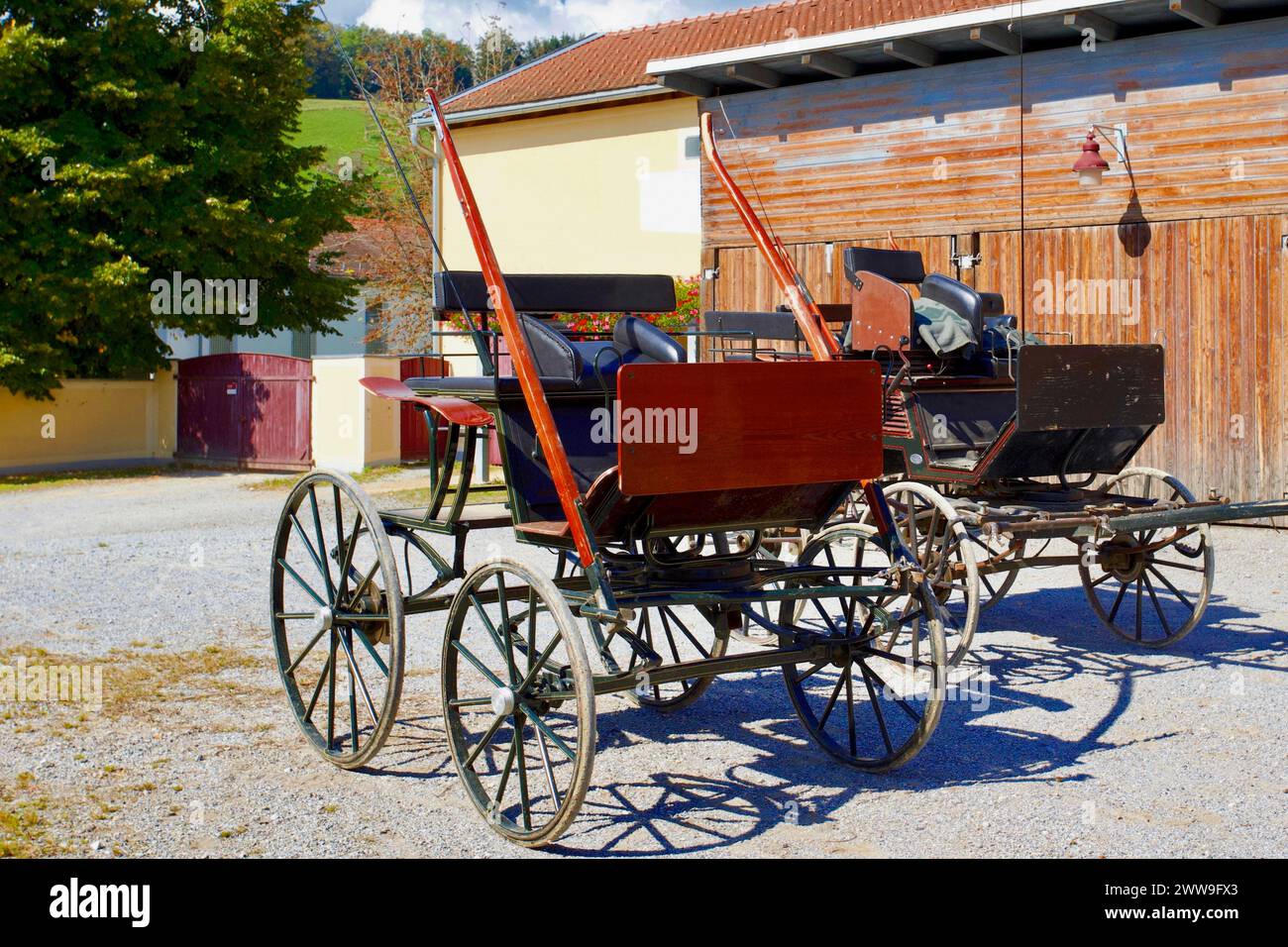 Carriage, Piber Federal Stud, Piber, Styria, Austria. Stock Photo