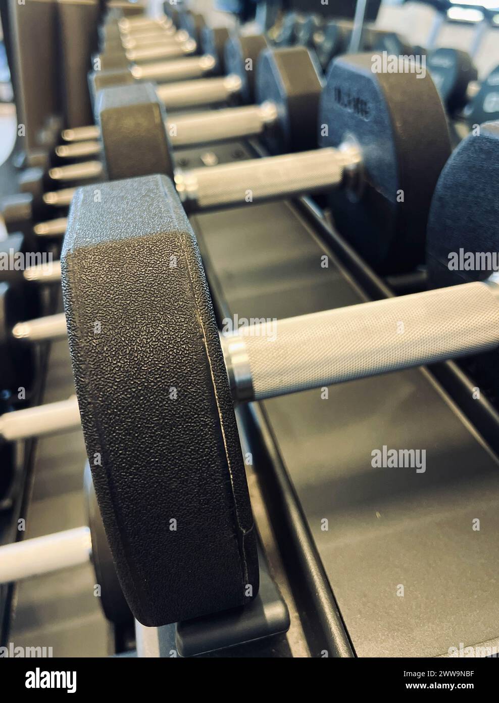 Looking down a rack of metal dumbbells in a fitness center Stock Photo ...