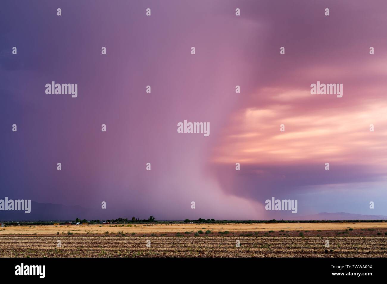 Microburst with heavy rain falling from a storm in the desert near Tucson, Arizona Stock Photo