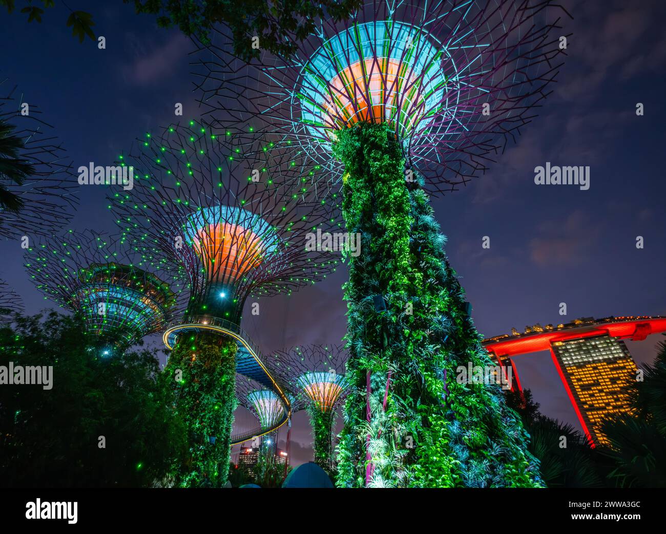 Singapore Supertrees at night Stock Photo