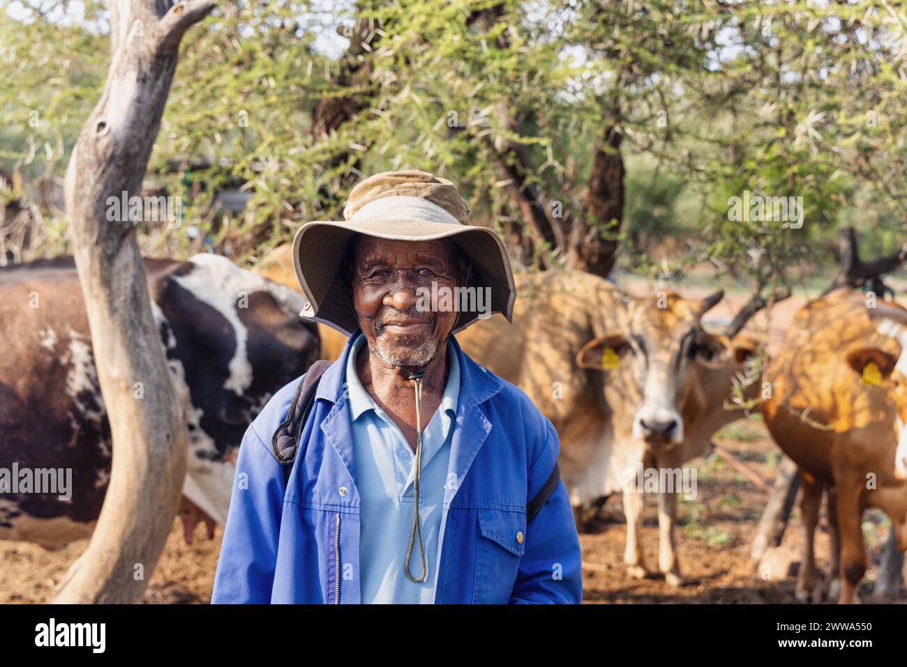 african herder with his herd of cattle grazing in the bush Stock Photo