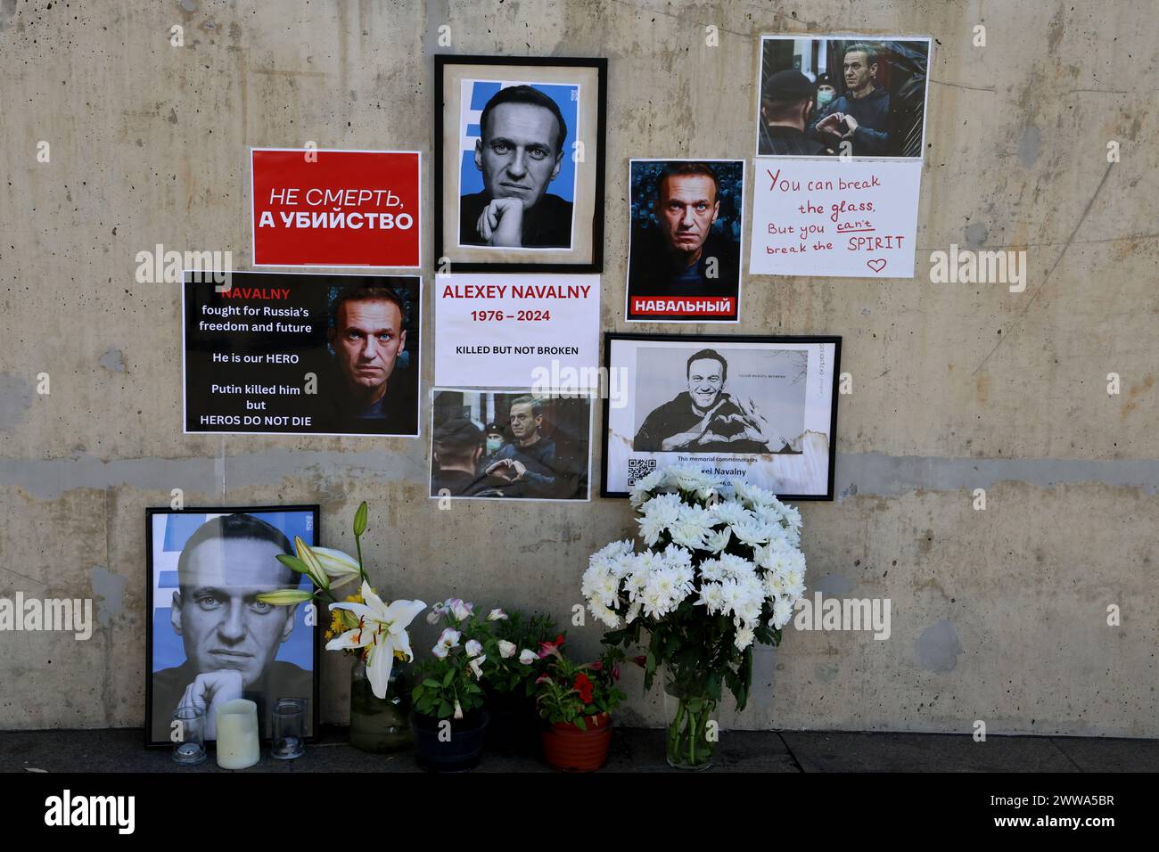 A small memorial to Alexey Navalny erected in Adelaide Australia shortly after the announcement of his death Stock Photo