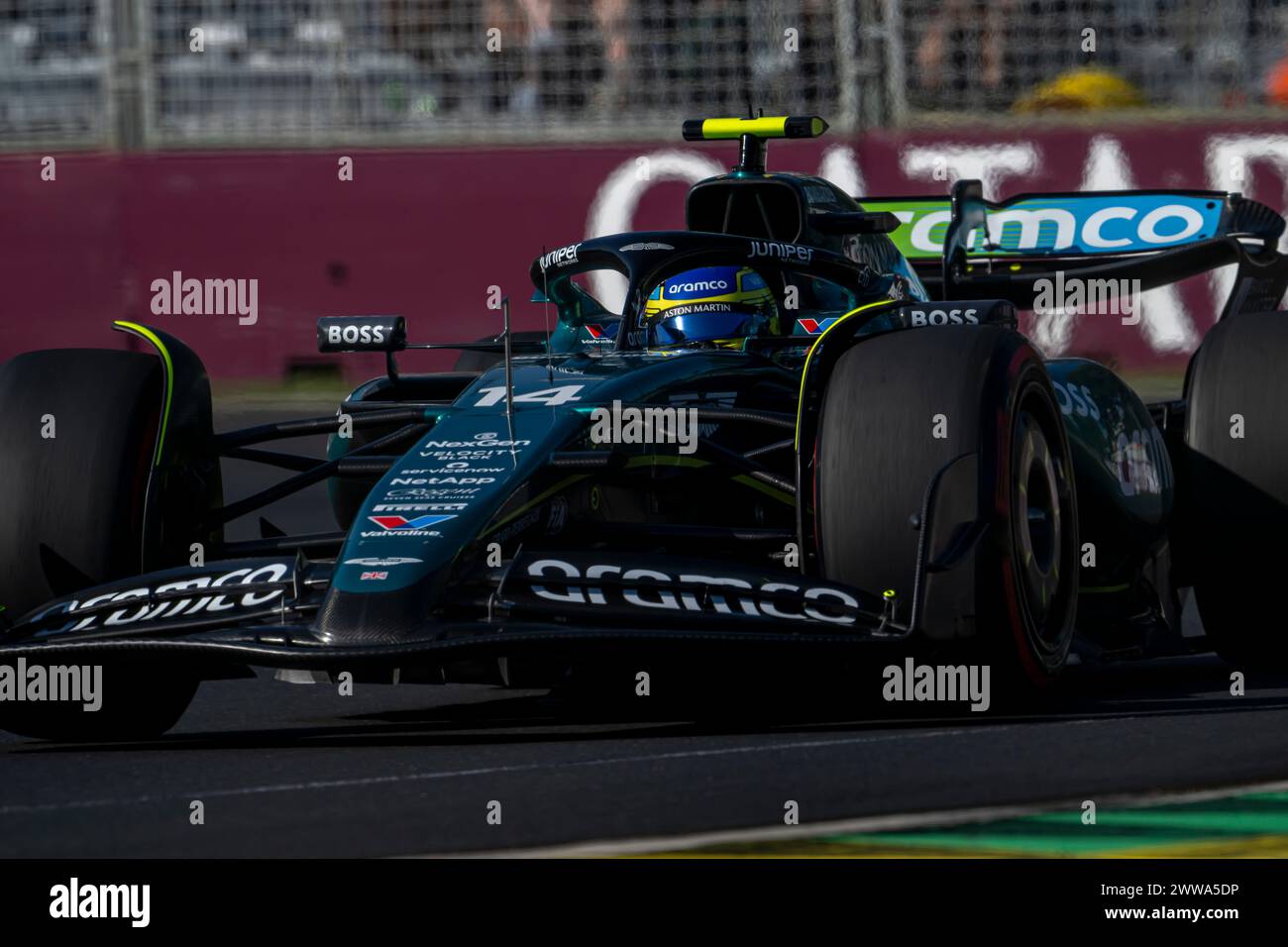 Melbourne, Australia, March 22, Fernando Alonso, from Spain competes for Aston Martin F1. Practice, round 03 of the 2024 Formula 1 championship. Credit: Michael Potts/Alamy Live News Stock Photo