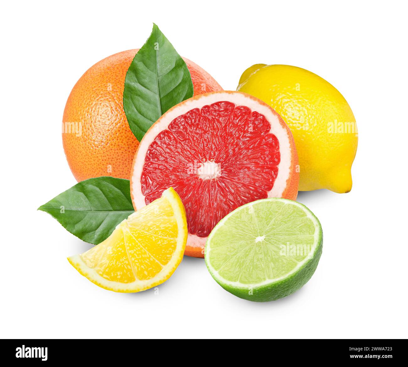 Citrus fruits. Fresh grapefruits, lemons and lime on white background Stock Photo