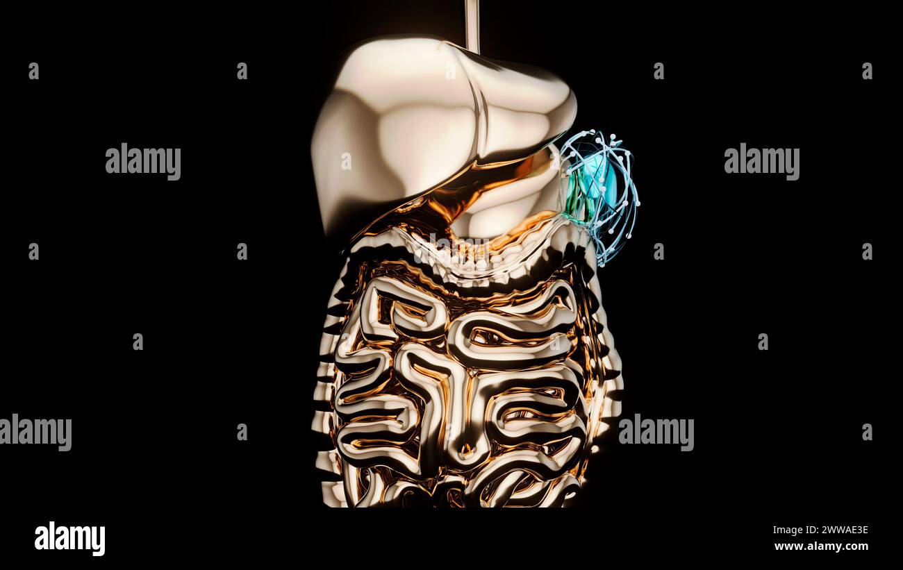 Spleen, conceptual illustration Stock Photo - Alamy