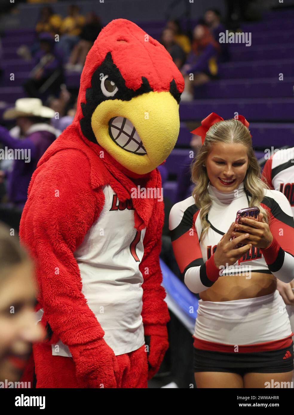 Baton Rouge, USA. 22nd Mar, 2024. Louie the Cardinal, the Louisville Cardinals mascot pose for a selfie with a cheerleader during a first round game of the NCAA Women's Basketball Tournament in Baton Rouge, Louisiana on Friday, March 22, 2024. (Photo by Peter G. Forest/SipaUSA) Credit: Sipa USA/Alamy Live News Stock Photo