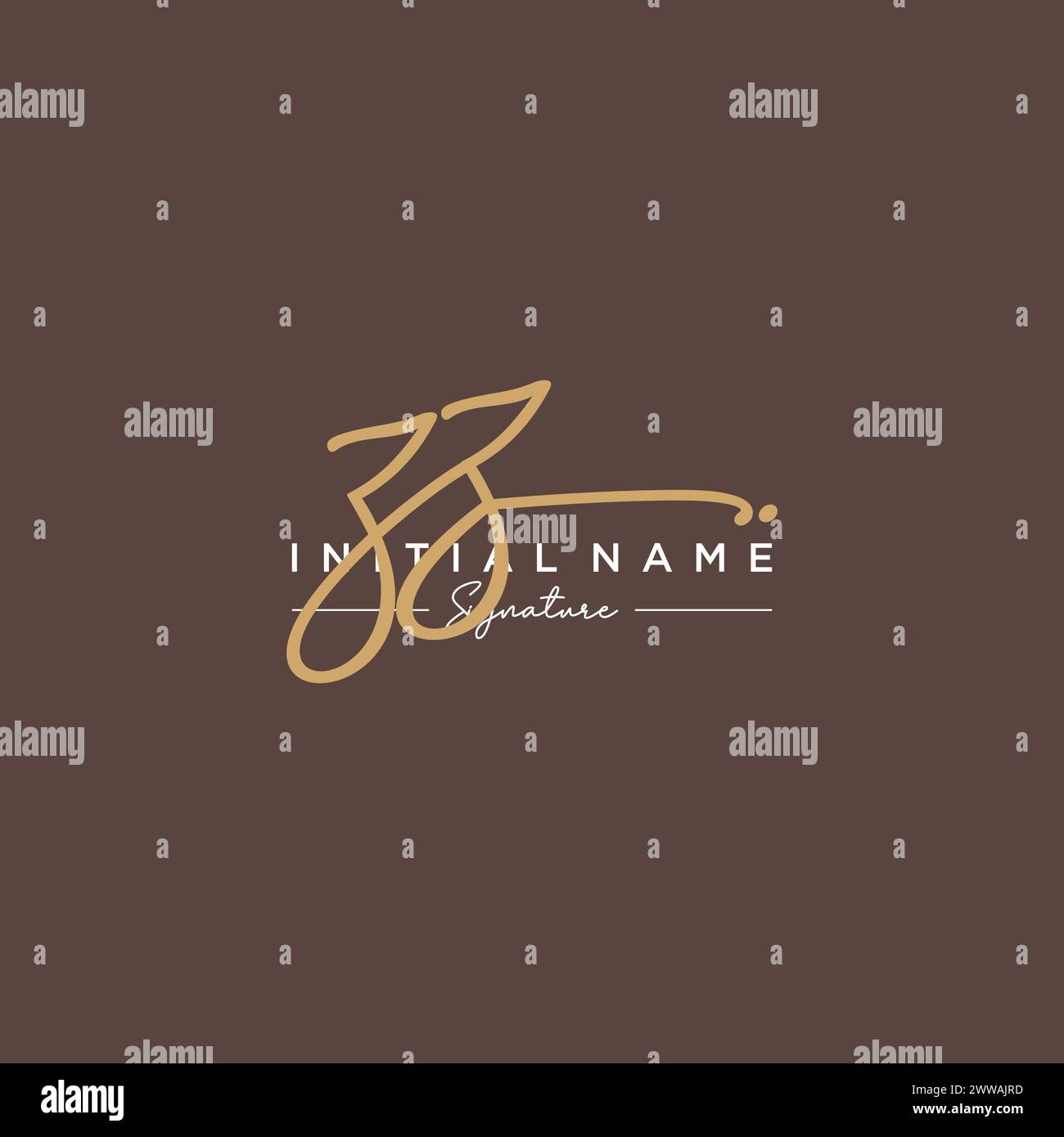 ZZ Signature Logo Template Vector Stock Vector