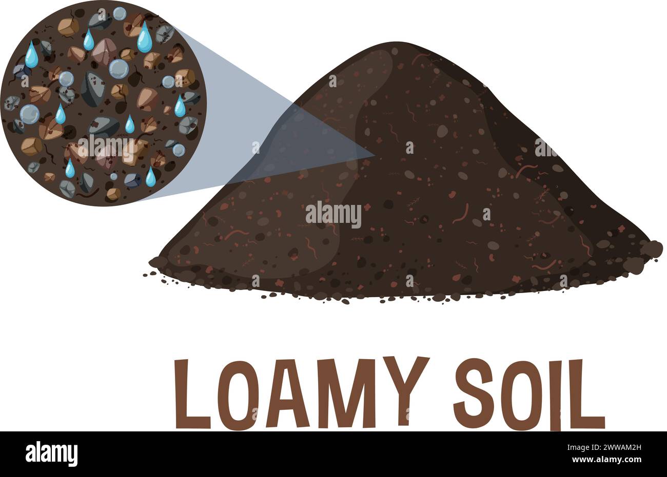 Vector illustration of a cross-section of loamy soil Stock Vector