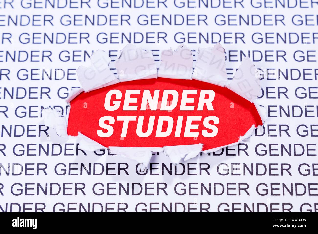 Gender Studies gender-appropriate language communication concept study Stock Photo