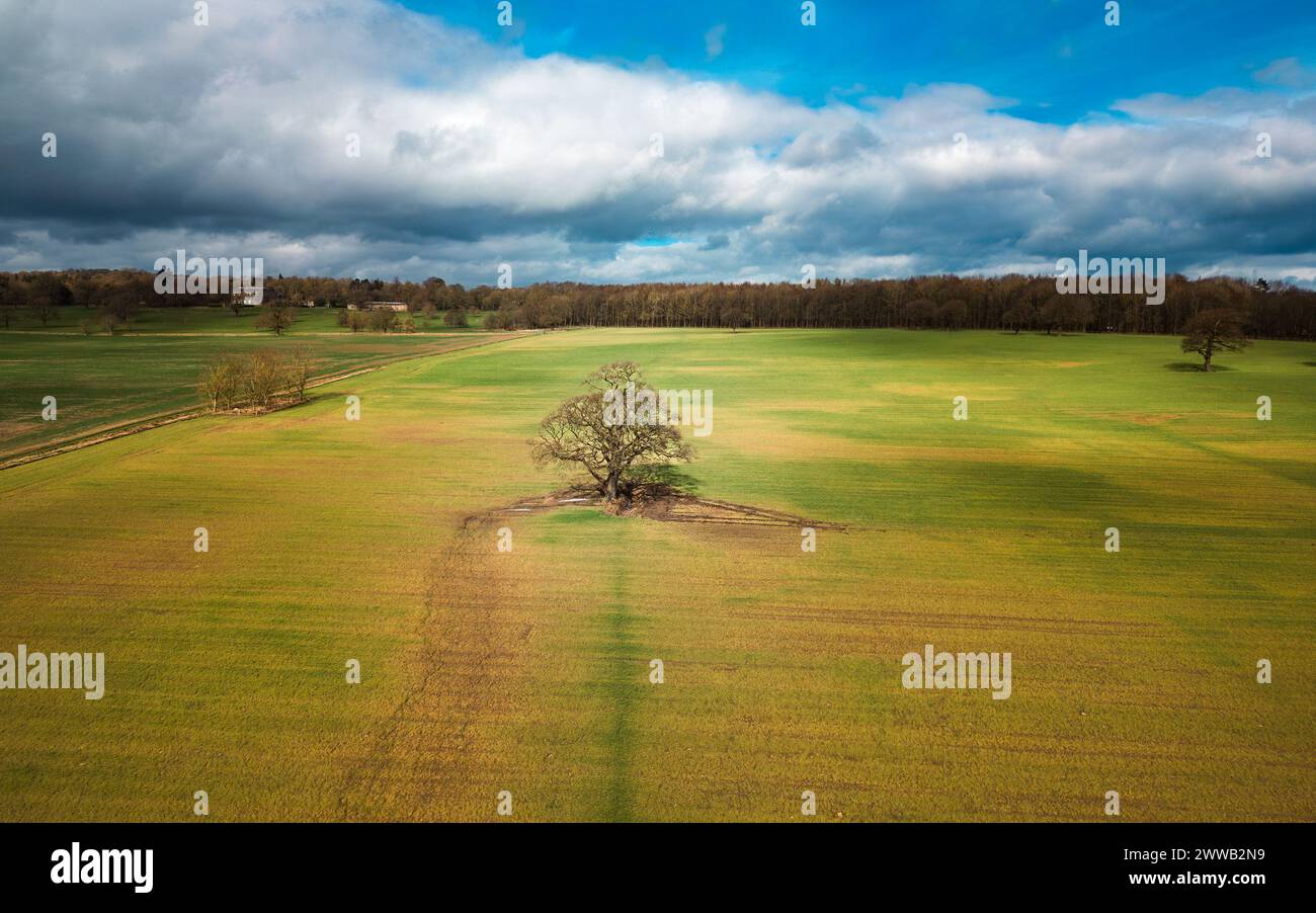 Aerial view of tree and farmland in Farnley Hall Estate, Otley, West Yorkshire Stock Photo Alamy