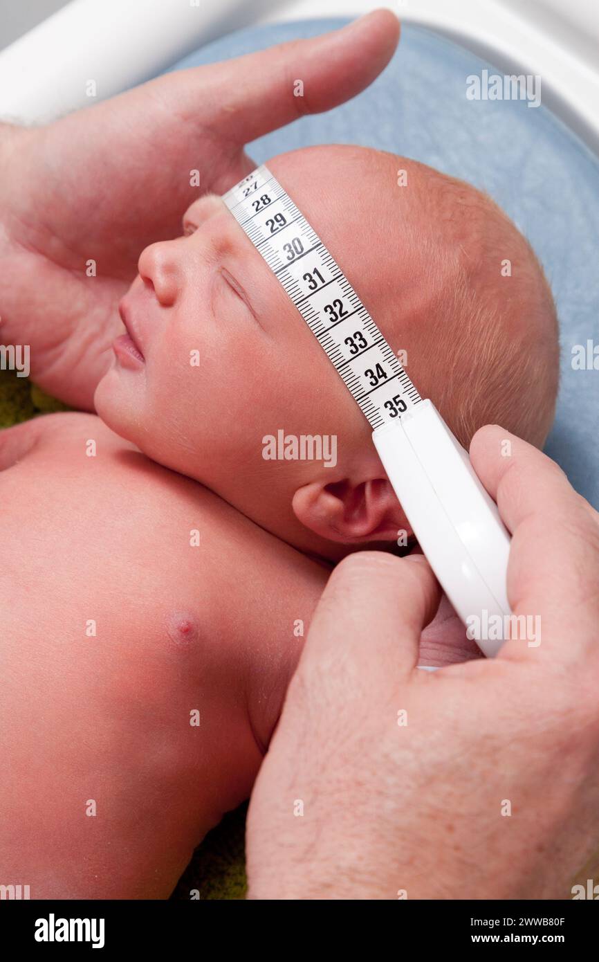 The pediatrician measures the head circumference. Stock Photo