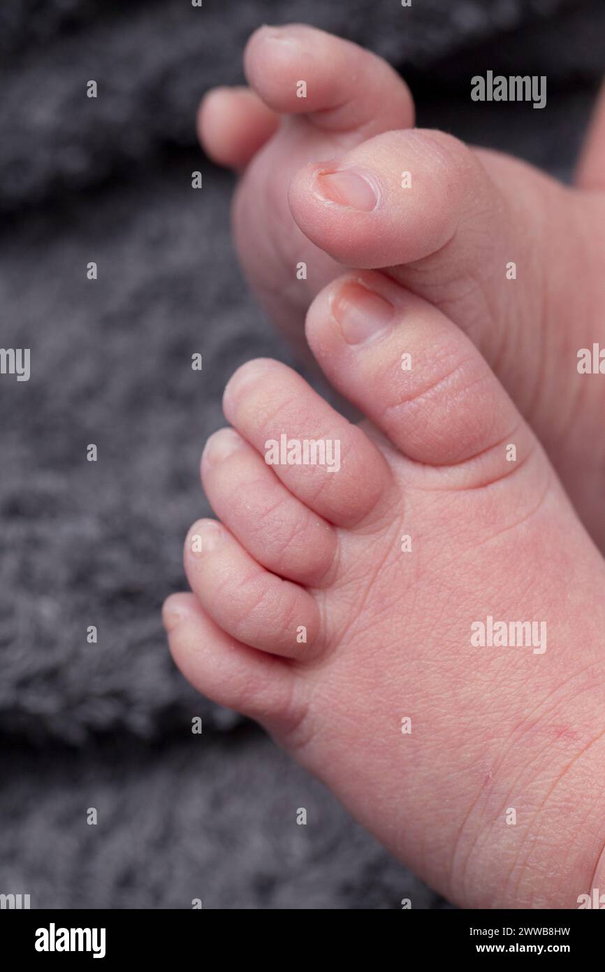 Close up shots of 3 day old newborn feet. Stock Photo