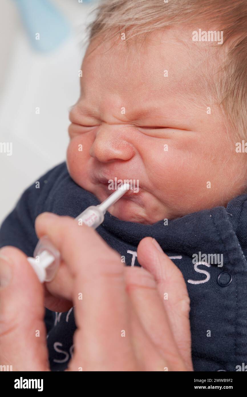 With a view to breastfeeding or breastfeeding, a midwife administers