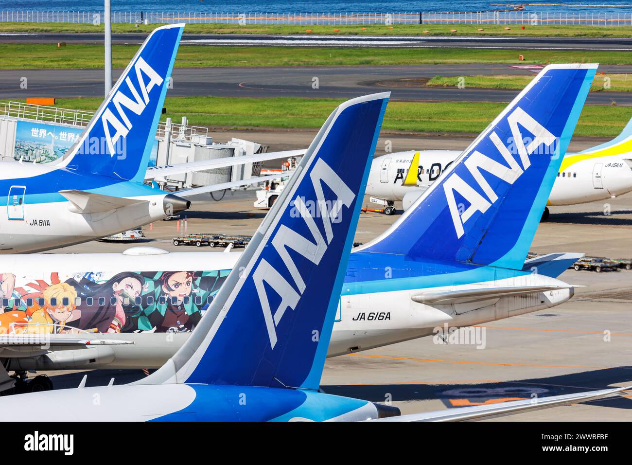 Tokyo, Japan - October 6, 2023: Tails of ANA All Nippon Airways airplanes at Tokyo Haneda Airport (HND) in Japan. Stock Photo