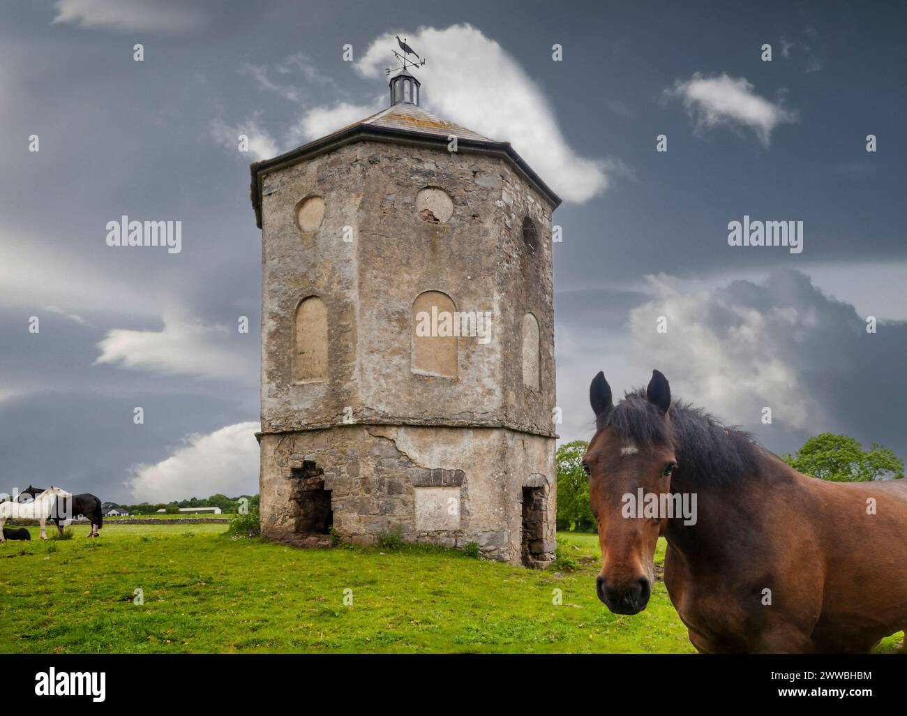 The Mosstown Pigeon House, a Georgian style dovecote built around 1750, in  County Longford, Ireland Stock Photo