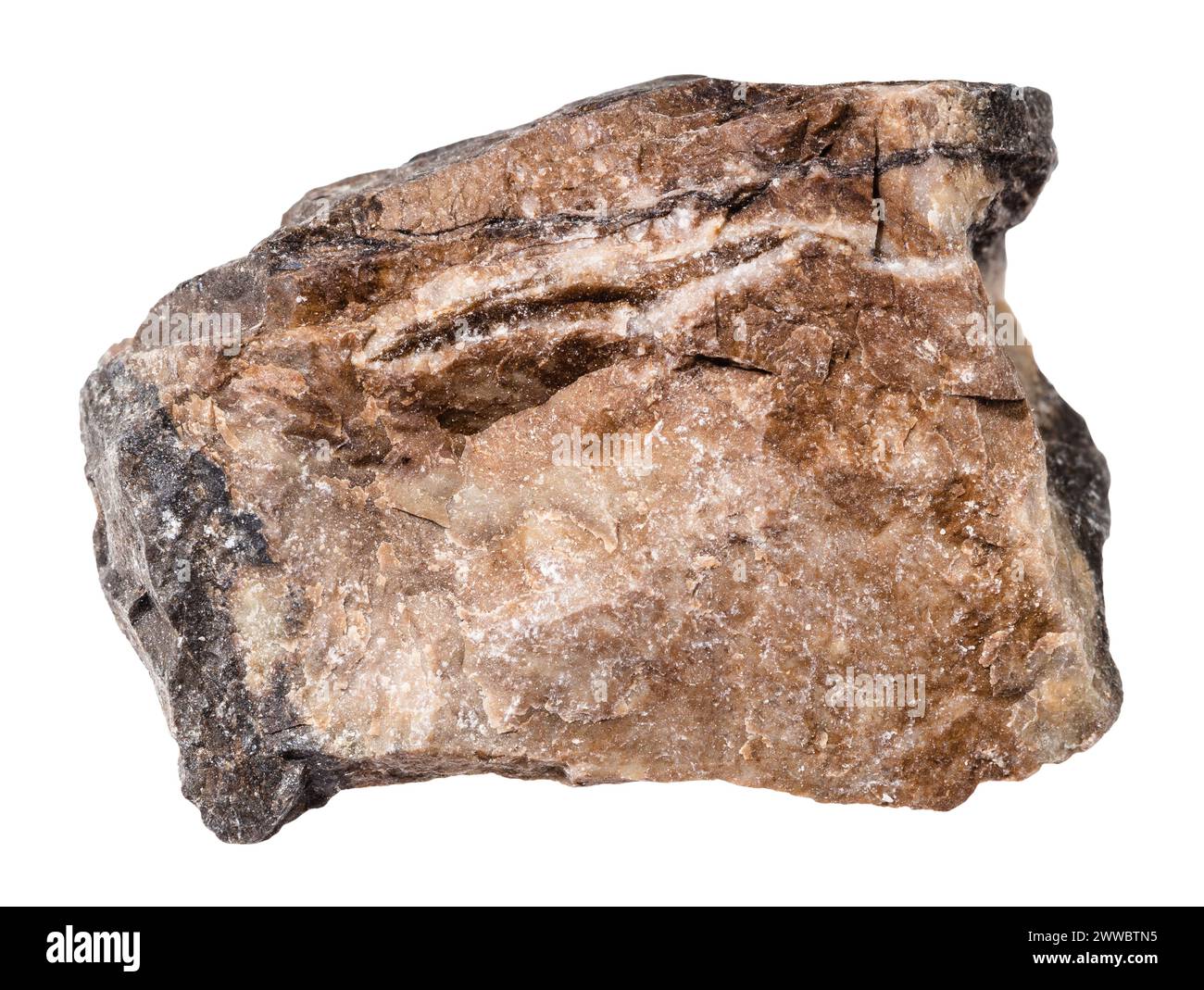 close up of sample of natural stone from geological collection - raw ...