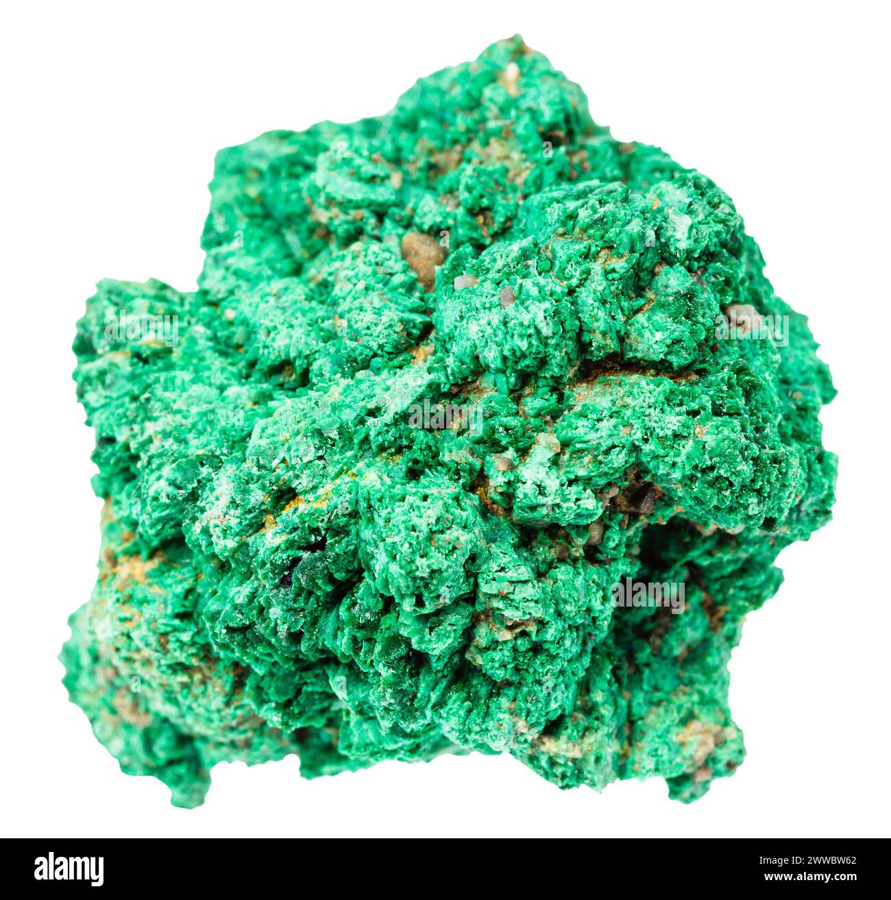 close up of sample of natural stone from geological collection - rough druse of malachite mineral isolated on white background from Kazakhstan Stock Photo