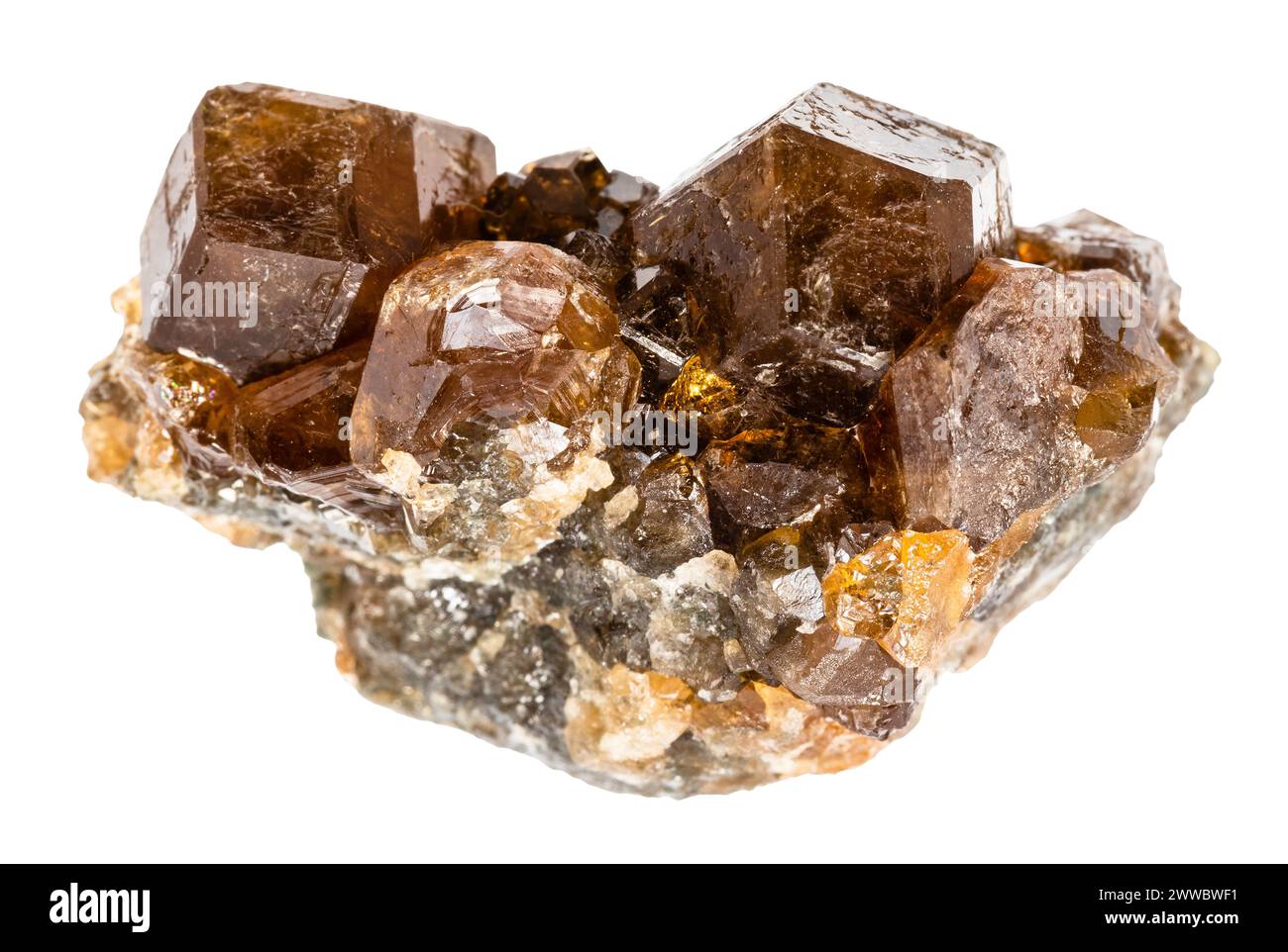 close up of sample of natural stone from geological collection - cluster of raw hessonite grossular mineral isolated on white background from Middle U Stock Photo