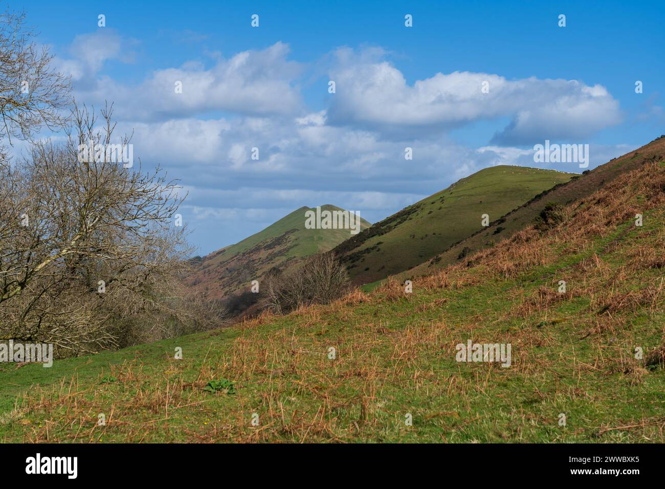 Shropshire, UK landscape image of the Shropshire hills on a pleasant Spring day Stock Photo