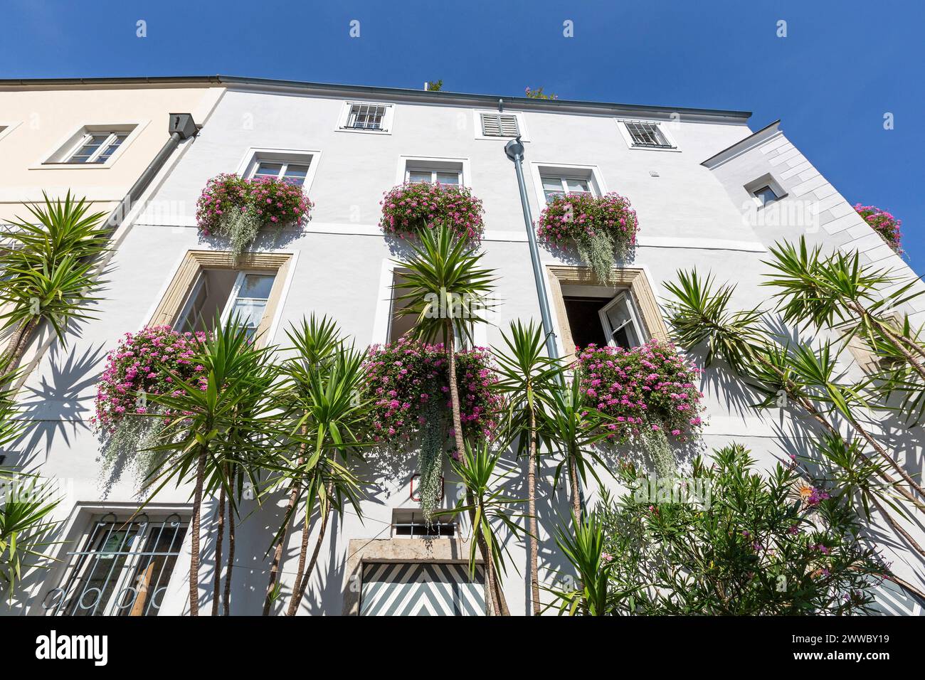 Flowers And Plant Decoration Residential Building, Wels, Upper Austria, Austria Stock Photo