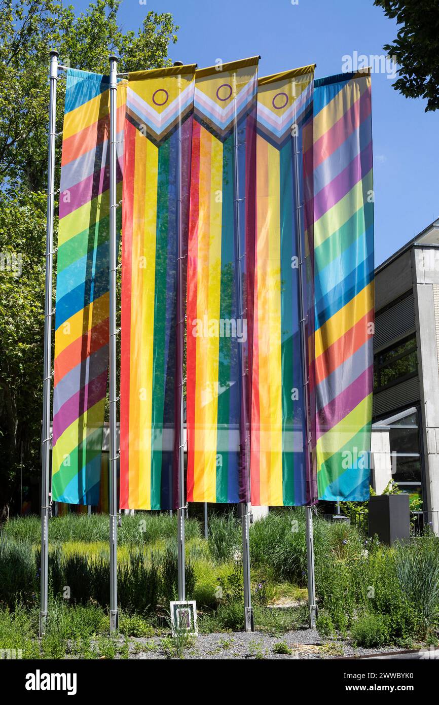 Rainbow Flags Stock Photo