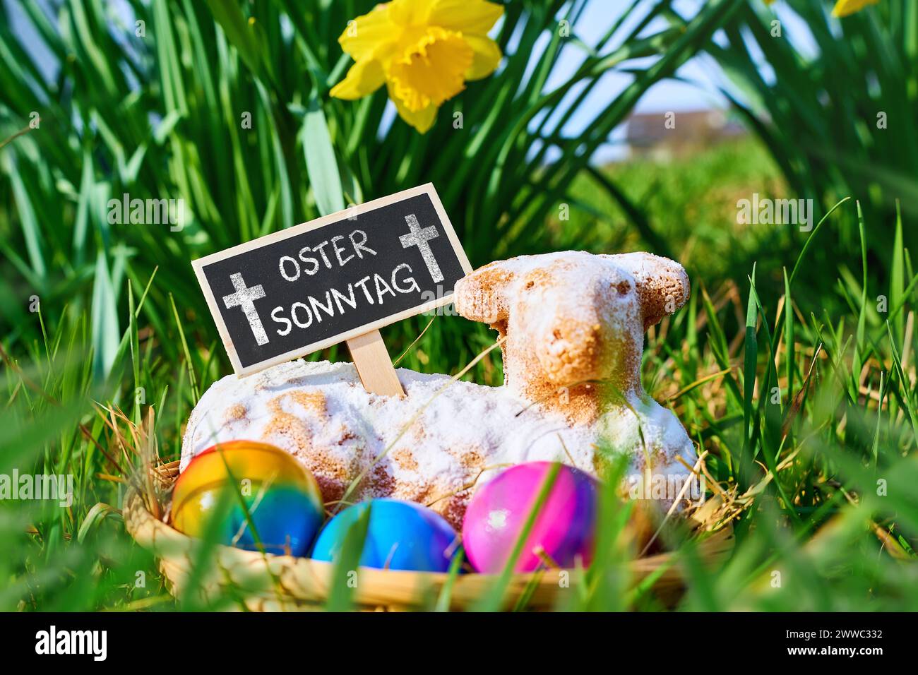 Augsburg, Bavaria, Germany - March 22, 2024: Easter Sunday, lettering on a plaque stuck in an Easter lamb in an Easter nest on a green meadow. PHOTOMONTAGE *** Ostersonntag, Schriftzug auf einer Tafel die in einem Osterlamm in einem Osternest auf einer grünen Wiese steckt. FOTOMONTAGE Stock Photo