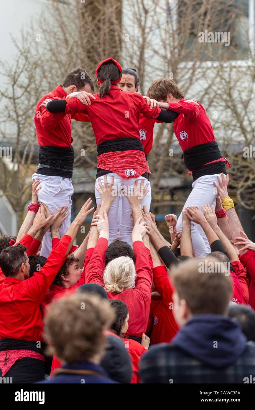 London, UK.  23 March 2024.  Castells, ‘human towers’, are built by Castellers of London at The Blue Market in Bermondsey.  The building of Castells dates back more than 200 years, with Castellers of London performing and promoting this Catalonian tradition in London since 2015.  Credit: Stephen Chung / Alamy Live News Stock Photo