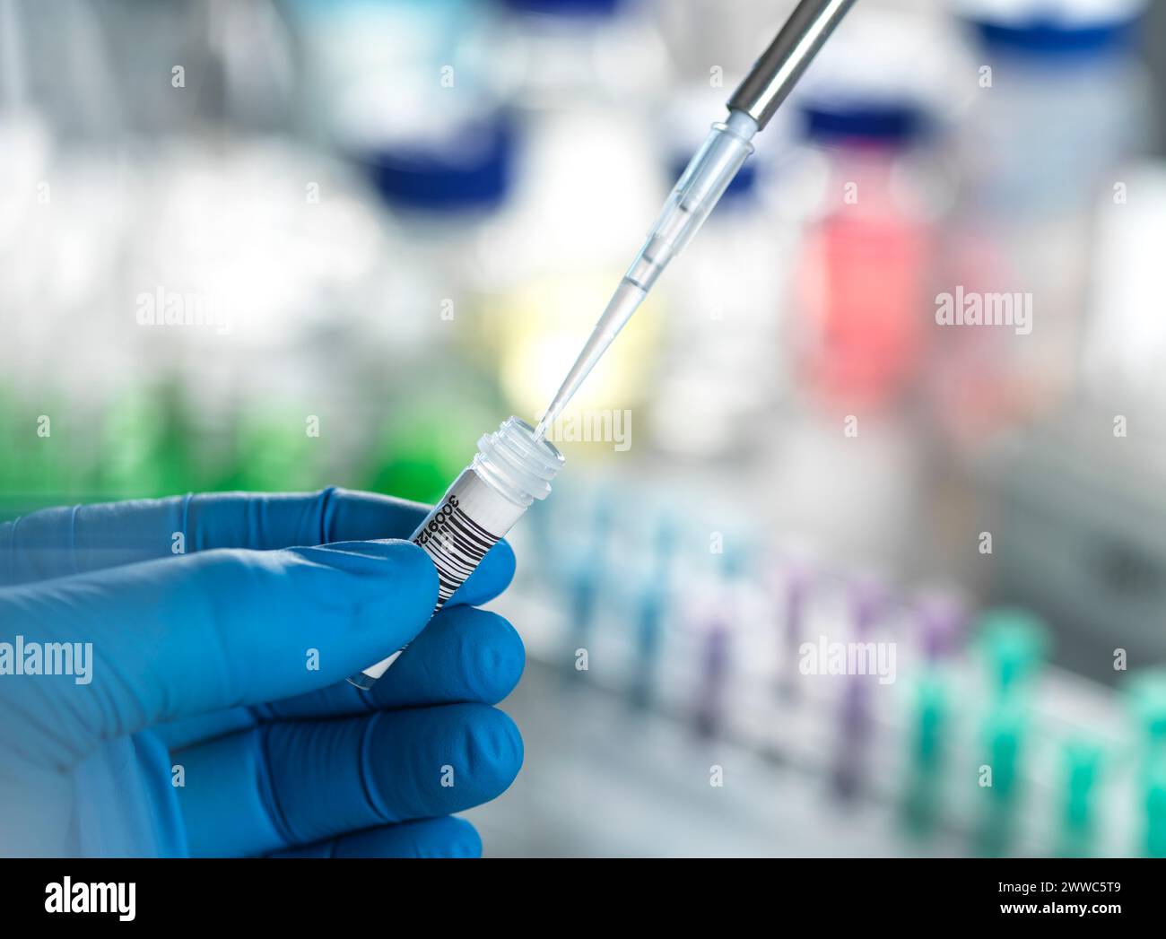 Hands of scientist pipetting DNA sample in vial at laboratory Stock ...