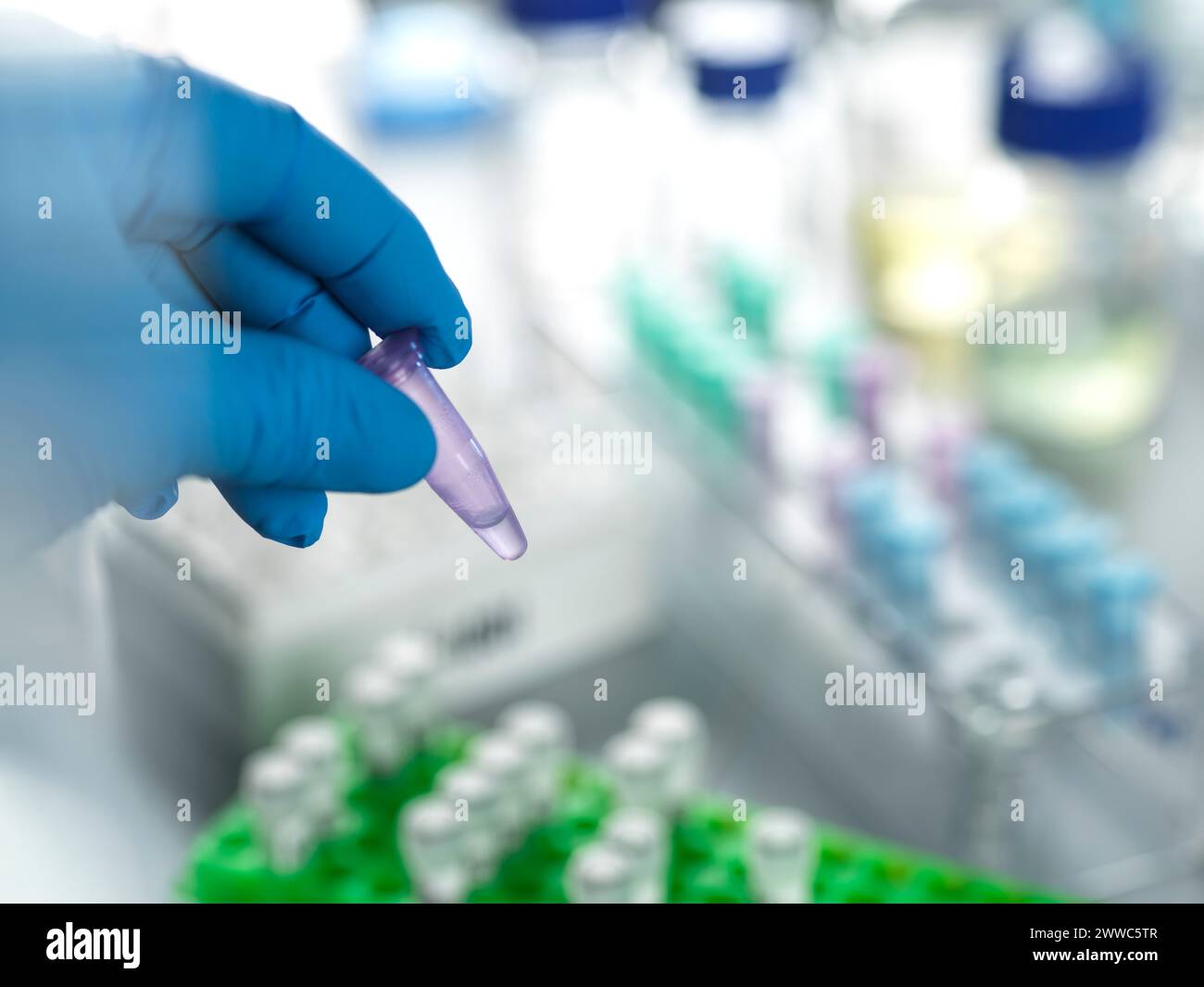 Hands of scientist holding chemical formula in eppendorf tube at laboratory Stock Photo