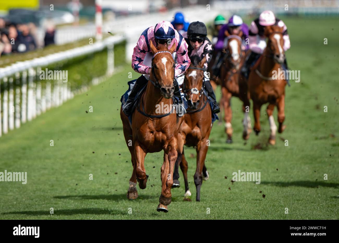 Doncaster, UK. 23 March, 2024. Doncaster, Yorkshire, UK. 23rd Mar, 2024. Zminiature and Rhys Clutterbuck win the William Hill EBF Brocklesby Stakes for trainer Dylan Cunha and owners J Sarkar, D Sarkar, O Sarkar and D Sarkar. Credit: JTW Equine Images/Alamy Live News Stock Photo