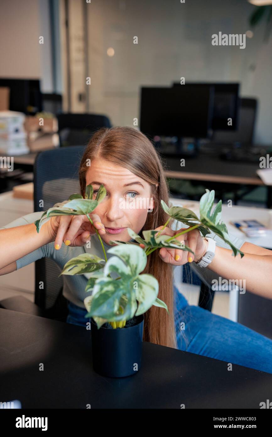 Playful businesswoman peeking from behind plant in office Stock Photo