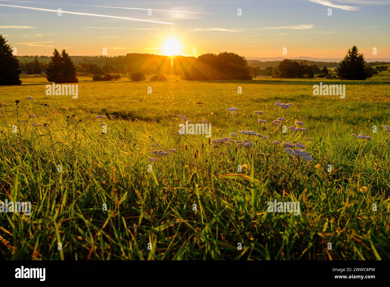 Germany, Bavaria, Meadow along High Rhon Road at sunrise Stock Photo