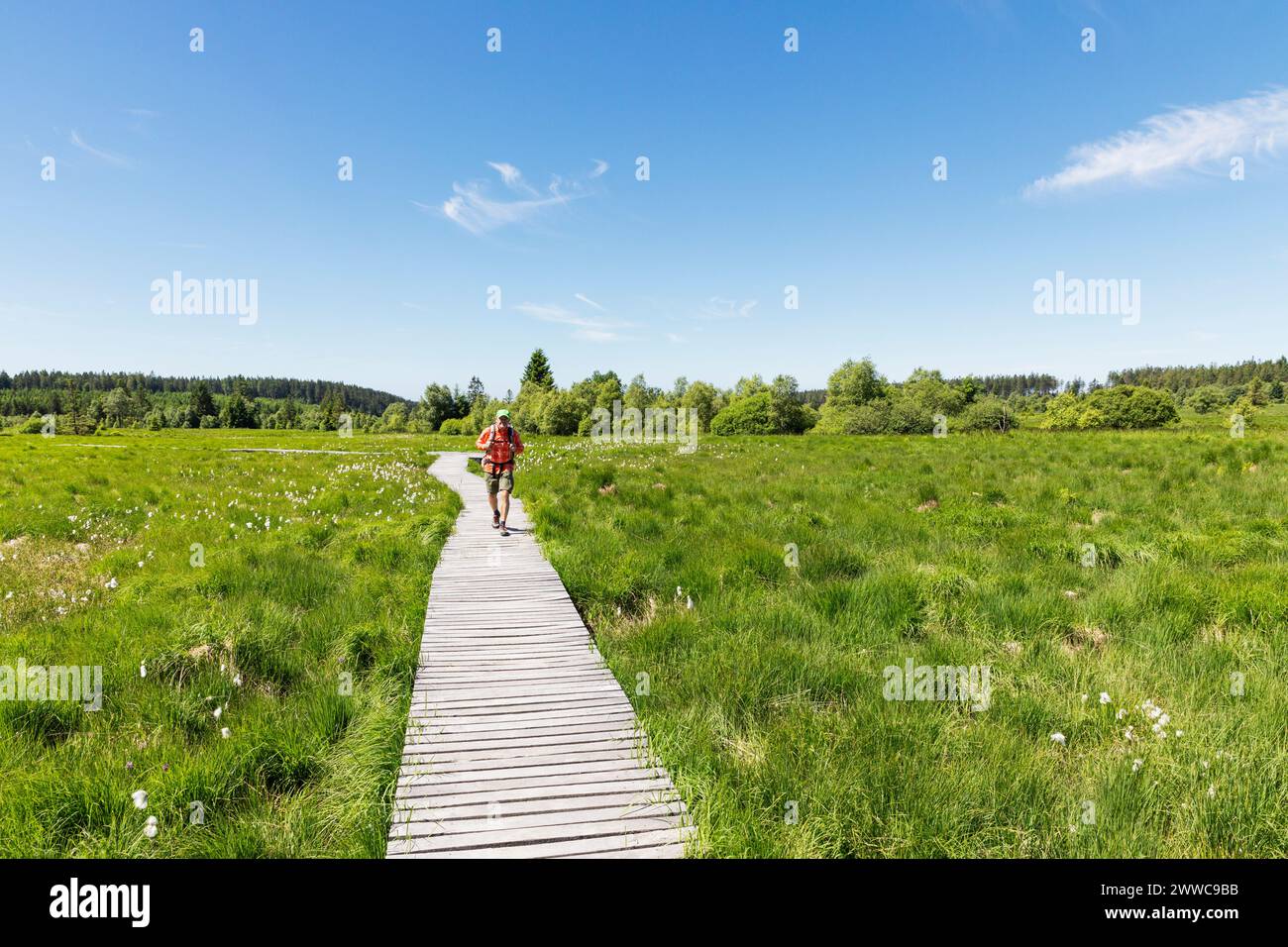 Senior man walking on boardwalk amidst green meadow Stock Photo