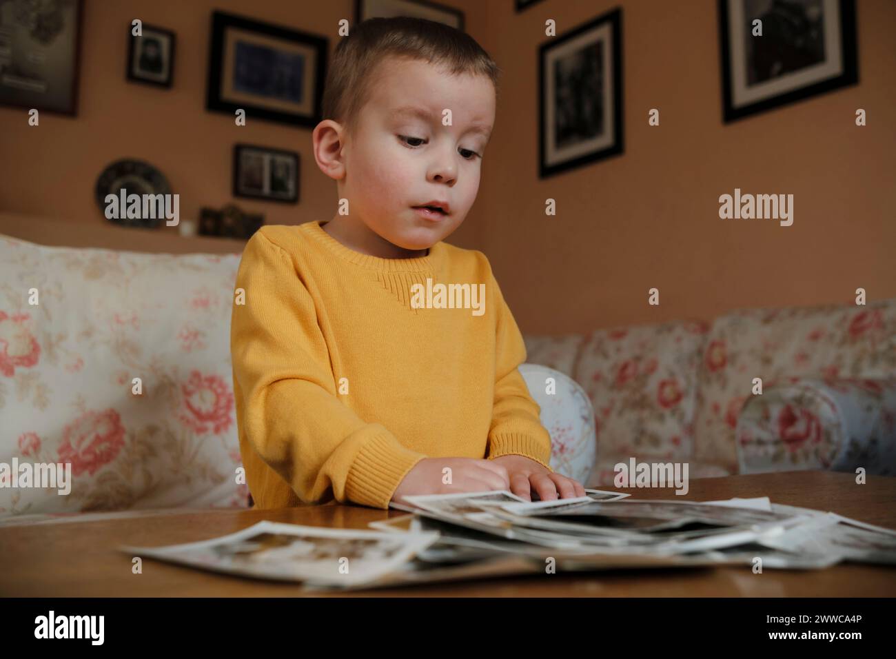 Curious boy looking at old photographs on table at home Stock Photo