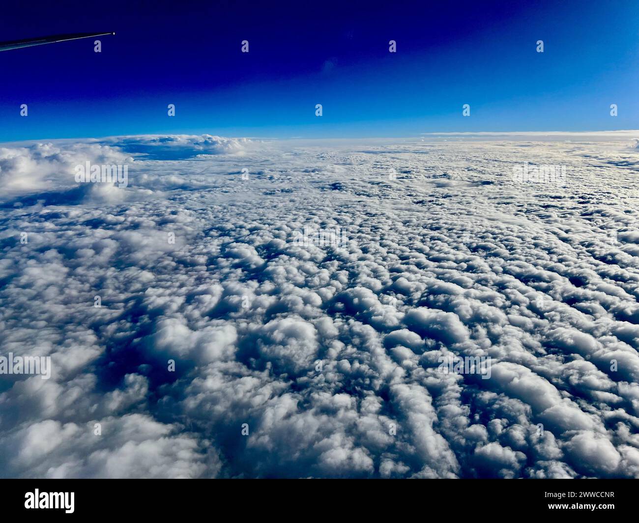 The plane flying above the clouds in the blue sky Stock Photo - Alamy