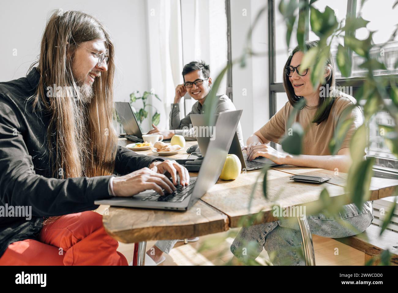 Team of IT technicians sitting at table coding on laptops in office Stock Photo