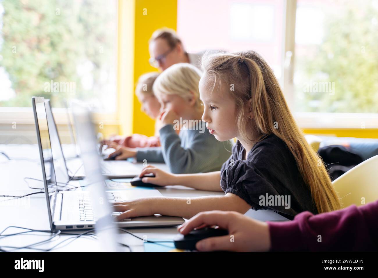 In school children using laptops hi-res stock photography and images ...