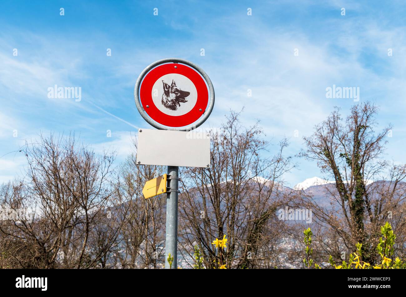 No dogs allowed sign in the swimming area of Gambarogno, Ticino, Switzerland Stock Photo
