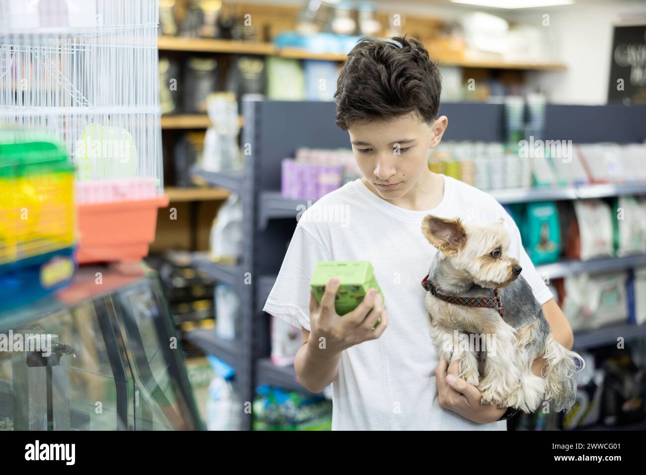 Boy with dog Yorkshire terrier in arms and read composition of product at packaging of dog dry food Stock Photo