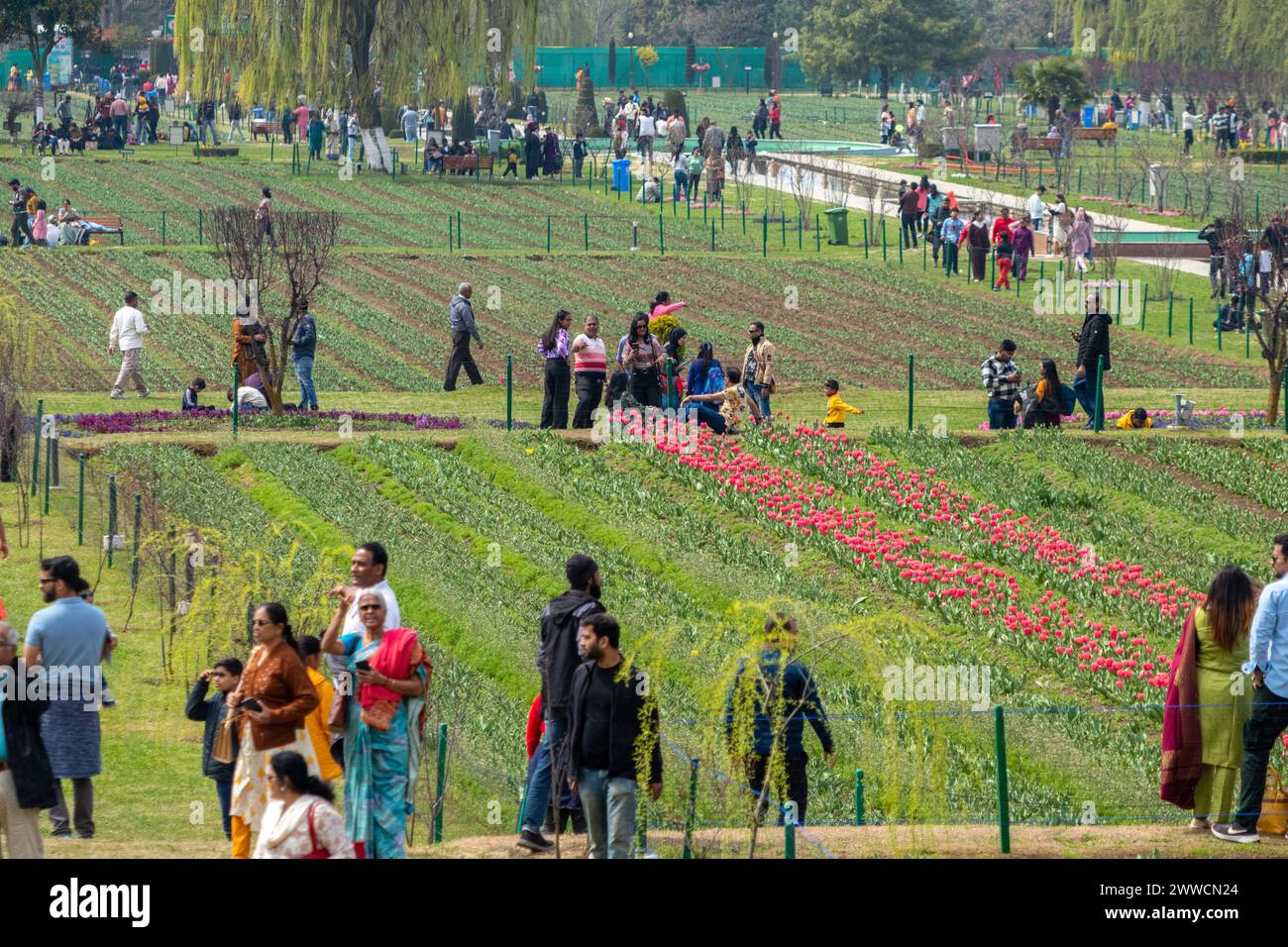 Srinagar, India. 23rd Mar, 2024. Indian tourists walk inside the Asia's ...
