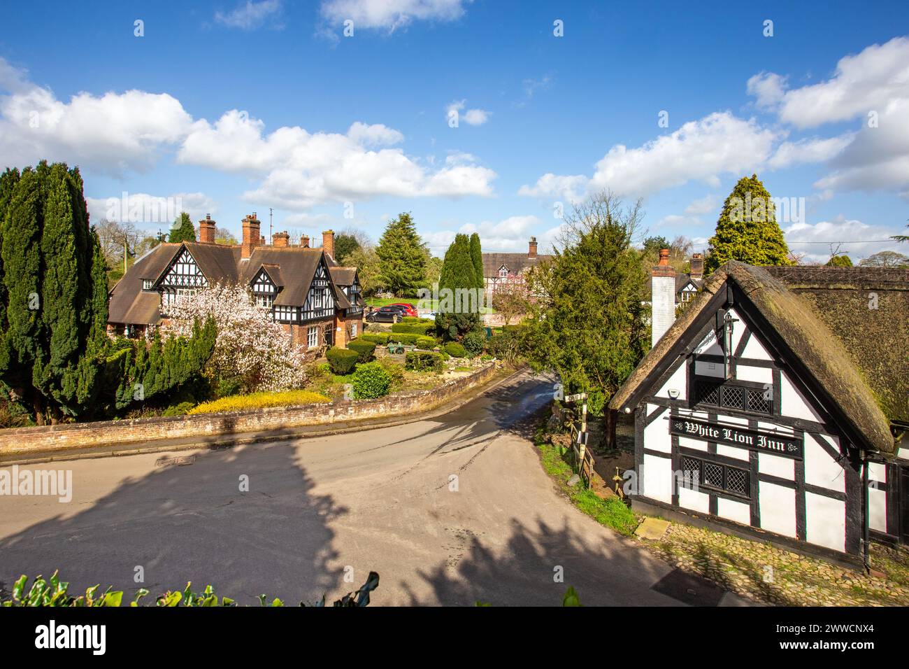 The White Lion a17th century black and white half timbered thatched roofed coaching inn in The Cheshire village of Barthomley Stock Photo