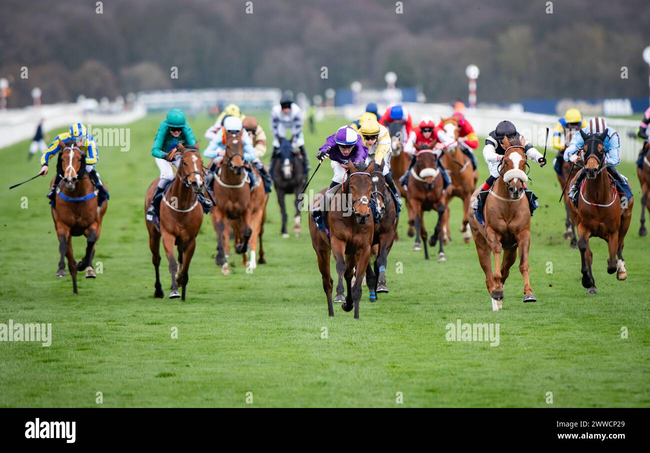 Amo Racing Limited Doncaster, UK. 23 March, 2024. Doncaster, United Kingdom, Saturday 23rd ...
