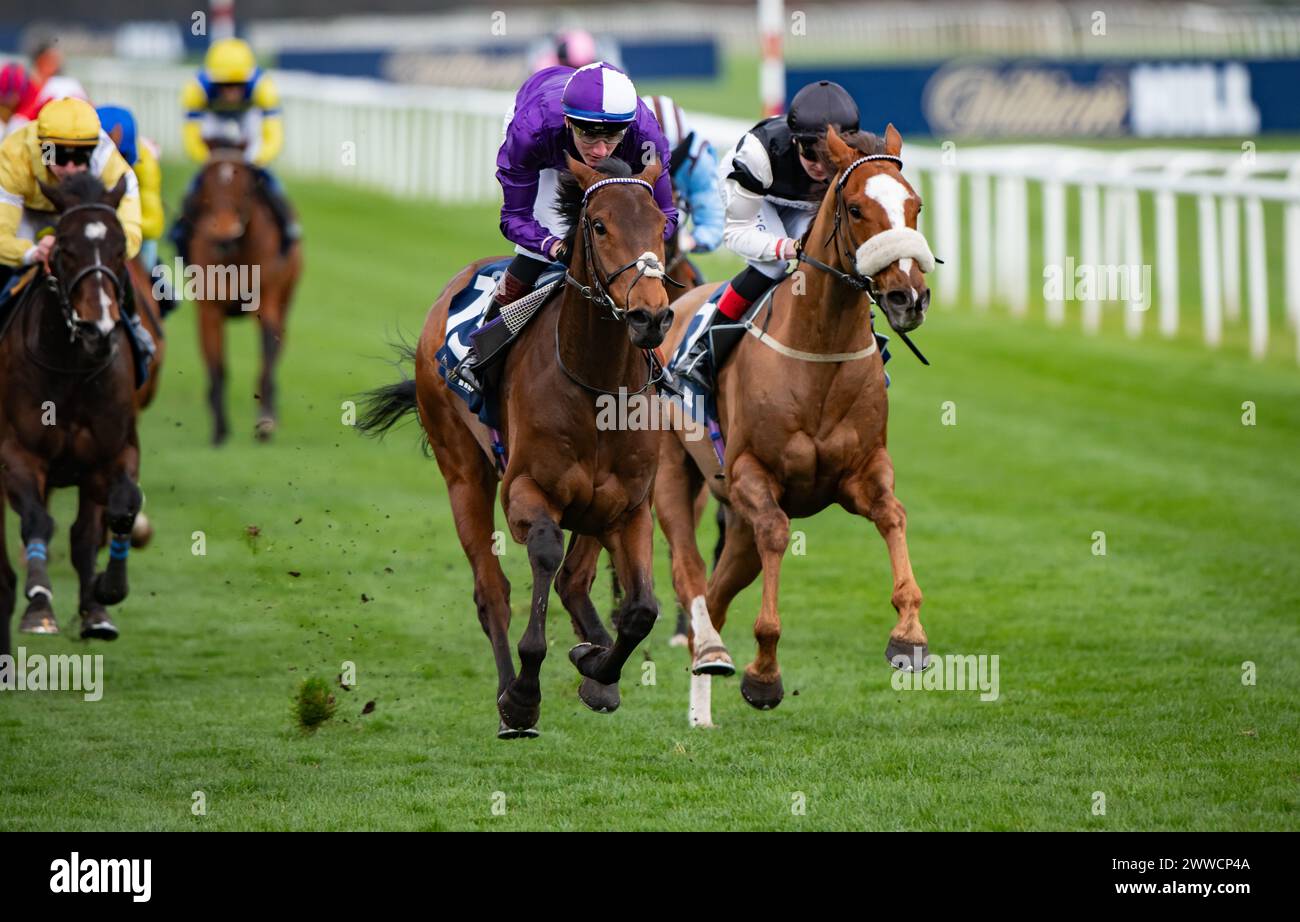 Amo Racing Limited Doncaster, UK. 23 March, 2024. Doncaster, United Kingdom, Saturday 23rd ...