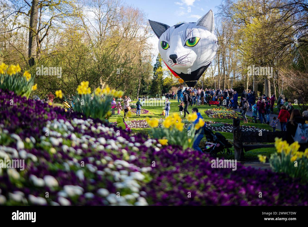 Cat in a hot air balloon hi-res stock photography and images - Alamy
